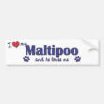 I Love My Maltipoo (Male Dog) Bumper Sticker