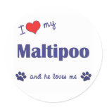 I Love My Maltipoo (Male Dog) stickers