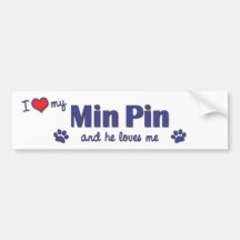 I Love My Min Pin (Male Dog) Bumper Sticker
