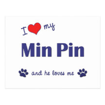 I Love My Min Pin (Male Dog) Postcards