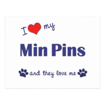 I Love My Min Pins (Multiple Dogs) Post Cards