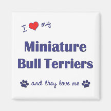 I Love My Miniature Bull Terriers (Multiple Dogs) Refrigerator Magnets