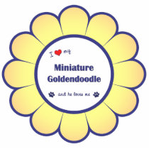 I Love My Miniature Goldendoodle (Male Dog) Acrylic Cut Outs