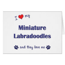 I Love My Miniature Labradoodles (Multiple Dogs) Greeting Card