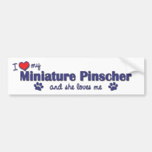 I Love My Miniature Pinscher (Female Dog) Bumper Sticker