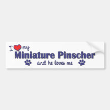 I Love My Miniature Pinscher (Male Dog) Bumper Sticker