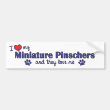 I Love My Miniature Pinschers (Multiple Dogs) Bumper Stickers