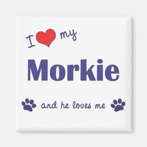 I Love My Morkie (Male Dog) Fridge Magnet