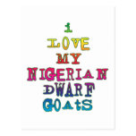 I Love My Nigerian Dwarf Goats Postcards