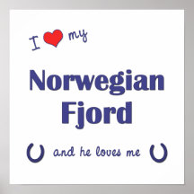 I Love My Norwegian Fjord (Male Horse) Print