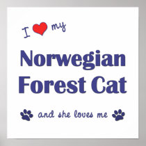 I Love My Norwegian Forest Cat (Female Cat) Posters