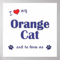 I Love My Orange Cat (Male Cat) Posters