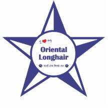 I Love My Oriental Longhair (Female Cat) Photo Cutout