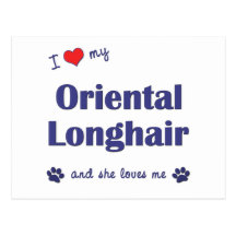 I Love My Oriental Longhair (Female Cat) Post Cards