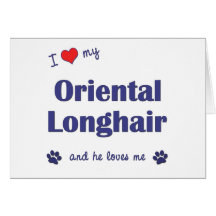 I Love My Oriental Longhair (Male Cat) Greeting Cards