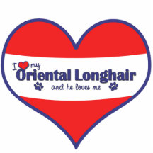 I Love My Oriental Longhair (Male Cat) Cut Outs