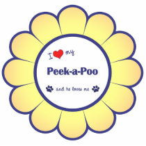 I Love My Peek-a-Poo (Male Dog) Photo Sculpture