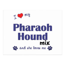 I Love My Pharaoh Hound Mix (Female Dog) Postcards