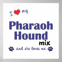 I Love My Pharaoh Hound Mix (Female Dog) Poster