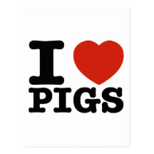 I love my pig post cards
