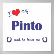 I Love My Pinto (Male Horse) Posters