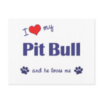 I Love My Pit Bull (Male Dog) Post Card