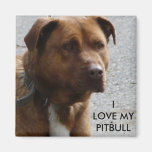 I love my Pitbull Fridge Magnet