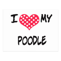I love my Poodle Post Card