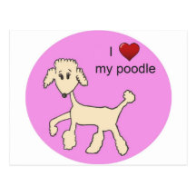 I Love my Poodle Postcards
