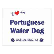 I Love My Portuguese Water Dog (Female Dog) Postcard
