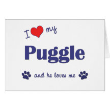 I Love My Puggle (Male Dog) Greeting Cards
