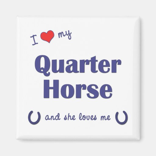 I Love My Quarter Horse (Female Horse) Refrigerator Magnet