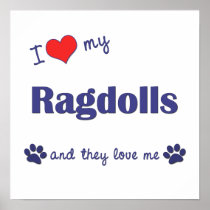 I Love My Ragdolls (Multiple Cats) Posters