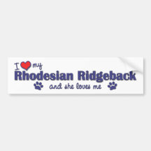 I Love My Rhodesian Ridgeback (Female Dog) Bumper Sticker