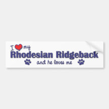 I Love My Rhodesian Ridgeback (Male Dog) Bumper Sticker