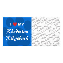 I Love My Rhodesian Ridgeback Personalized Photo Card