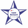 I Love My Saint Bernard (Female Dog) Photo Cut Out