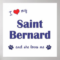 I Love My Saint Bernard (Female Dog) Posters