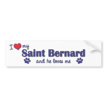 I Love My Saint Bernard (Male Dog) Bumper Sticker