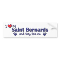 I Love My Saint Bernards (Multiple Dogs) Bumper Sticker