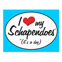 I Love My Schapendoes (It's a Dog) Postcards