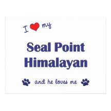 I Love My Seal Point Himalayan (Male Cat) Post Card