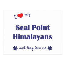 I Love My Seal Point Himalayans (Multiple Cats) Postcard