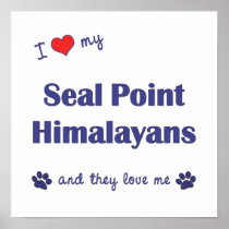 I Love My Seal Point Himalayans (Multiple Cats) Poster