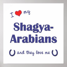 I Love My Shagya-Arabians (Multiple Horses) Posters
