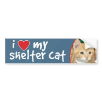 I Love My Shelter Cat Orange Kitten