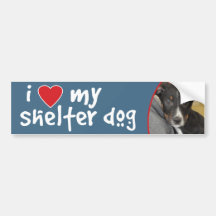 I Love My Shelter Dog Rhodesian Ridgeback Mix Bumper Stickers