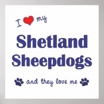 I Love My Shetland Sheepdogs (Multiple Dogs) Poster