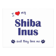 I Love My Shiba Inus (Multiple Dogs) Postcards