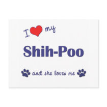 I Love My Shih-Poo (Female Dog) Postcard